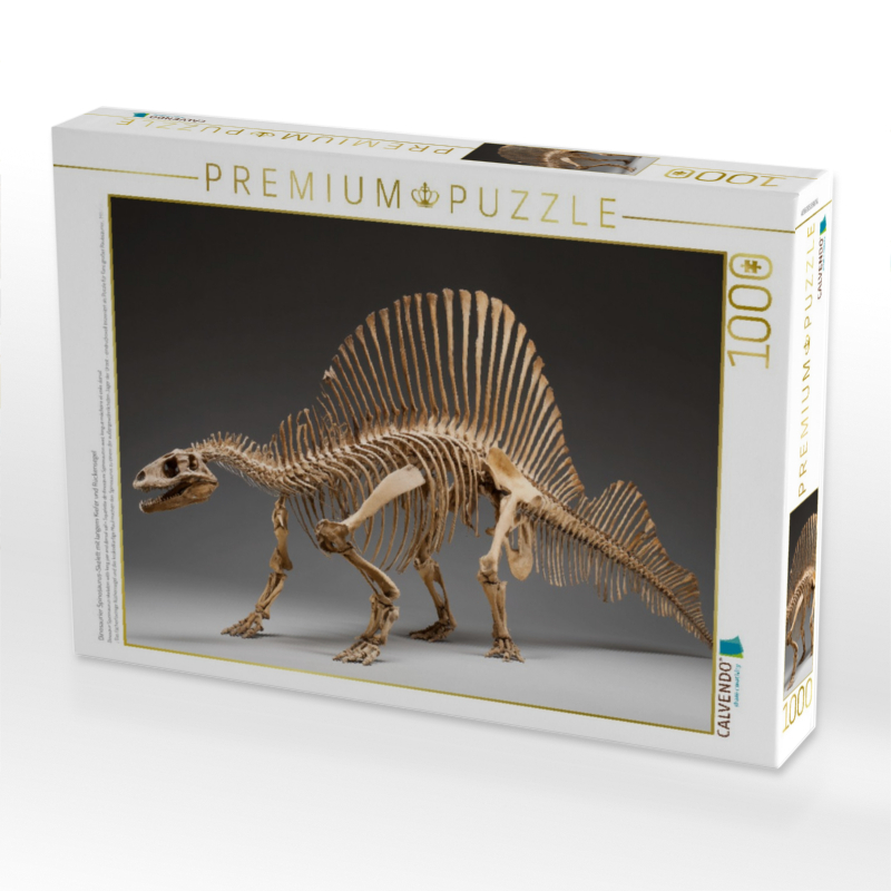 Dinosaurier Spinosaurus-Skelett mit langem Kiefer und Rückensegel