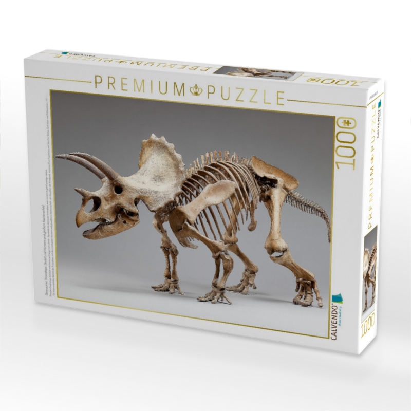 Dinosaurier Triceratops-Skelett mit Hörnern und großem Nackenschild