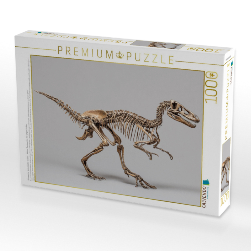 Dinosaurier Velociraptor-Skelett - kleiner Raubsaurier mit langen Krallen