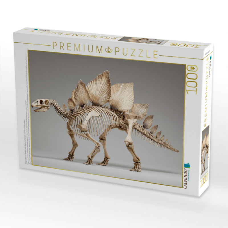 Stegosaurus-Skelett mit Rückenschildern und Stachelschwanz