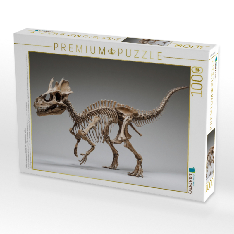 Pachycephalosaurus-Skelett mit Kuppelschädel seitlich