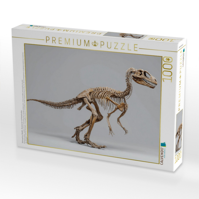 Deinonychus-Skelett - Raubsaurier mit Kletterkrallen