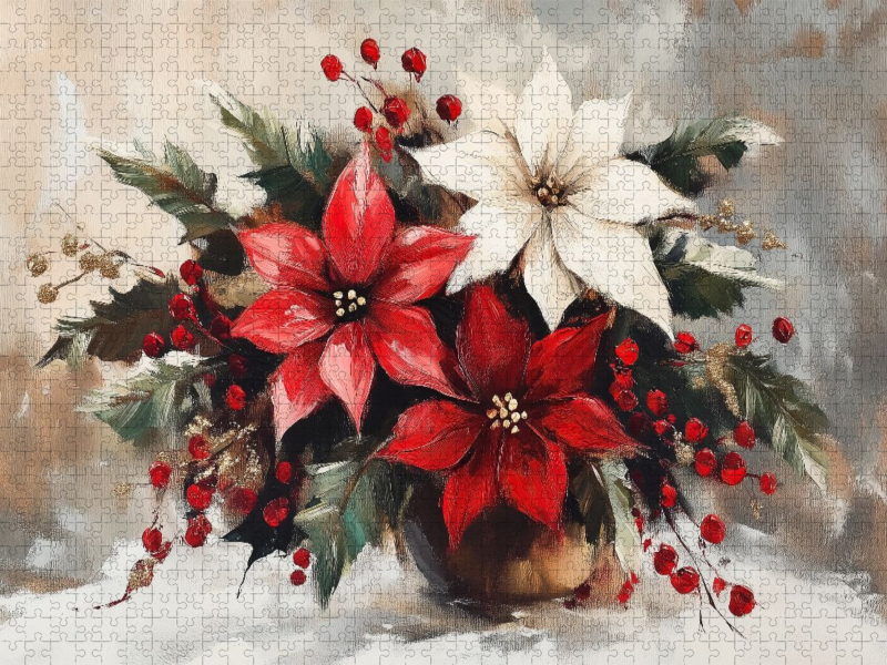 Weihnachtssterne
