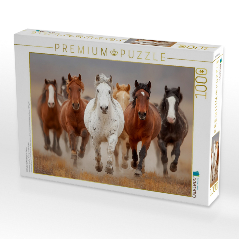 Wild lebende Mustangs im Galopp