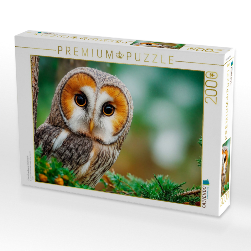 Eine aufmerksame Schleiereule