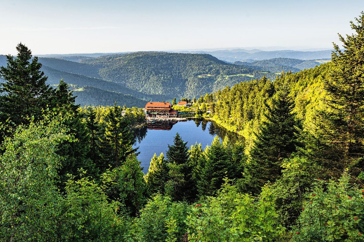 Mummelsee