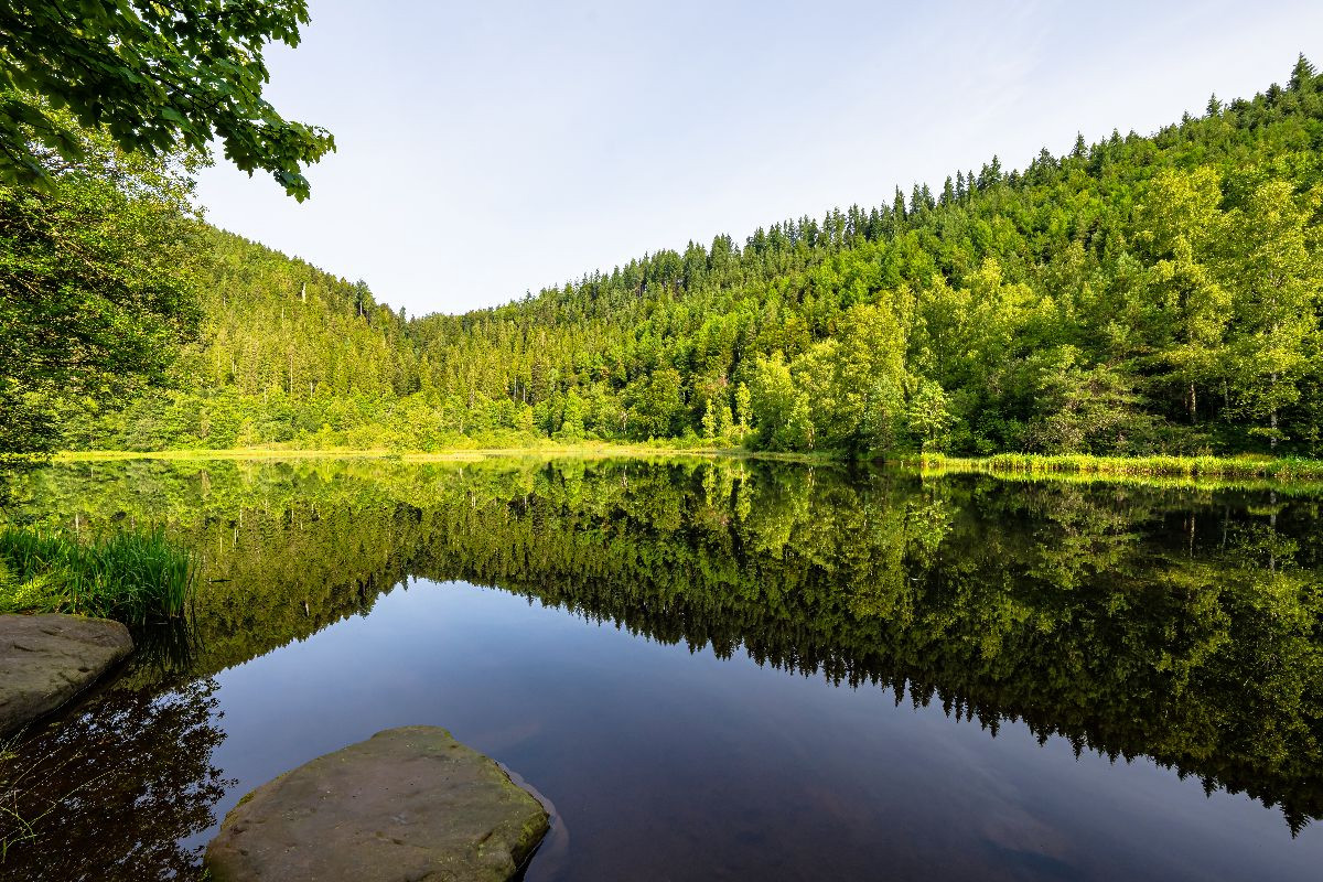 Sankenbachsee