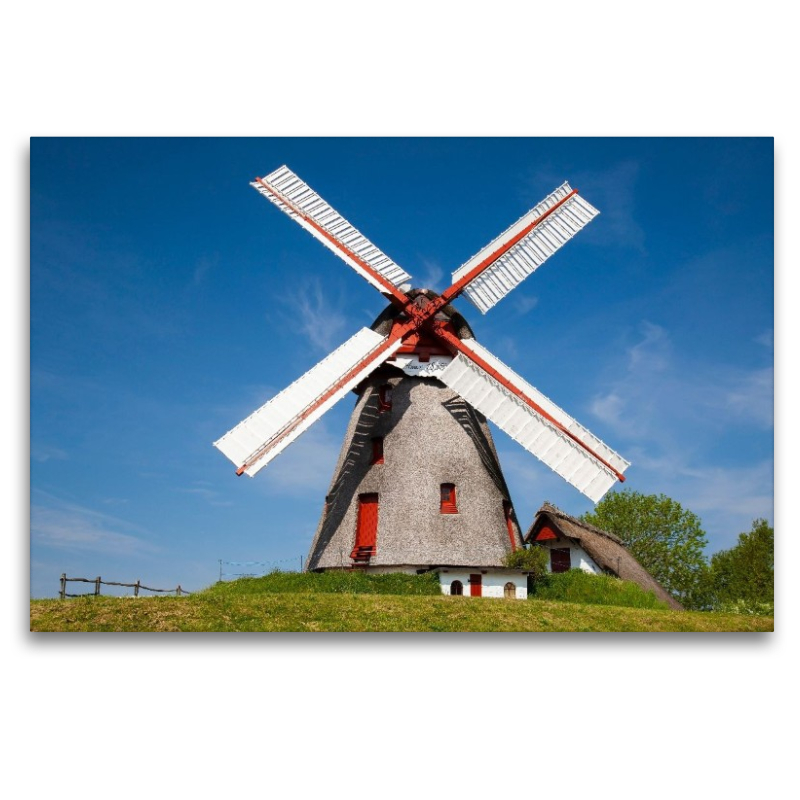 Windmühle Havnbjerg, Sonderborg, Jütland,,Dänemark