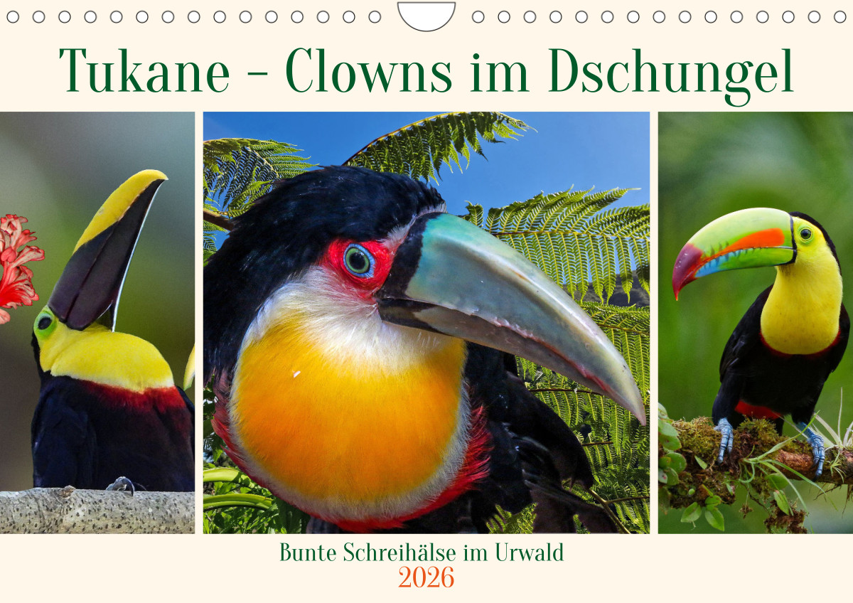 Begegnung im Wunderland