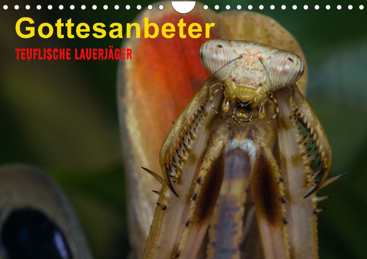 Sphären der Fantasie