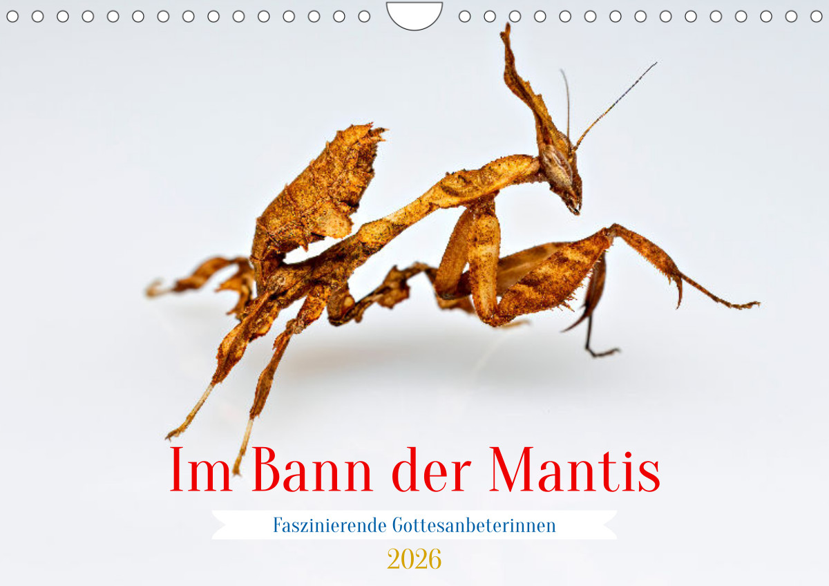 Sphären der Fantasie