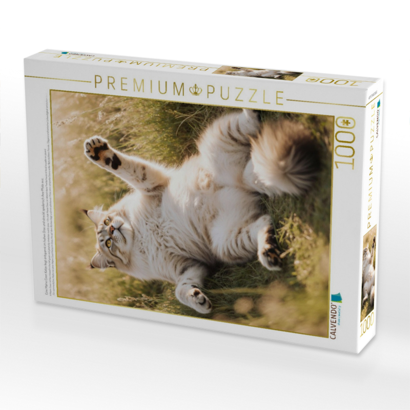 Eine Maine Coon Katze liegt entspannt im hohen Gras und streckt spielerisch ihre Pfote aus.