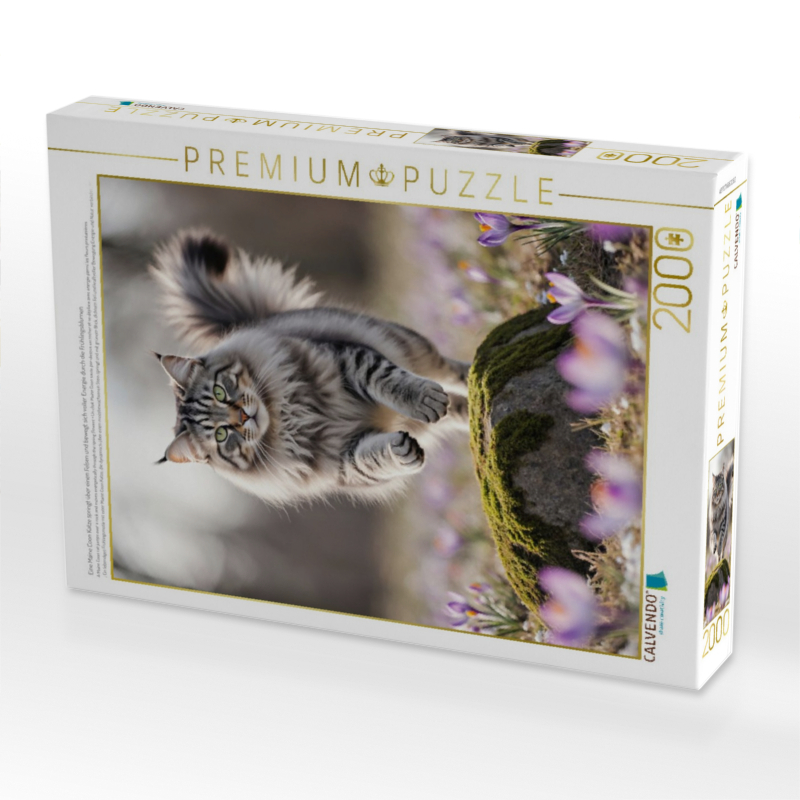 Eine Maine Coon Katze springt über einen Felsen und bewegt sich voller Energie durch die Frühlingsblumen