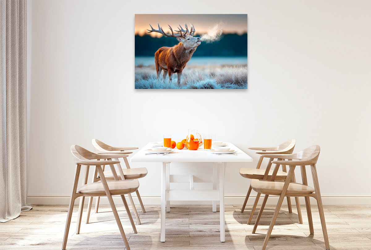 Ein röhrender Hirsch im frostigen Morgengrauen – Naturgewalt in stiller Kulisse