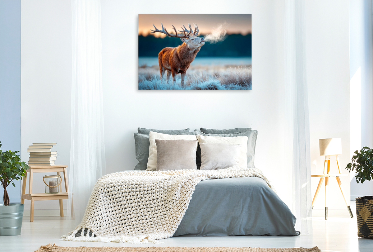 Ein röhrender Hirsch im frostigen Morgengrauen – Naturgewalt in stiller Kulisse