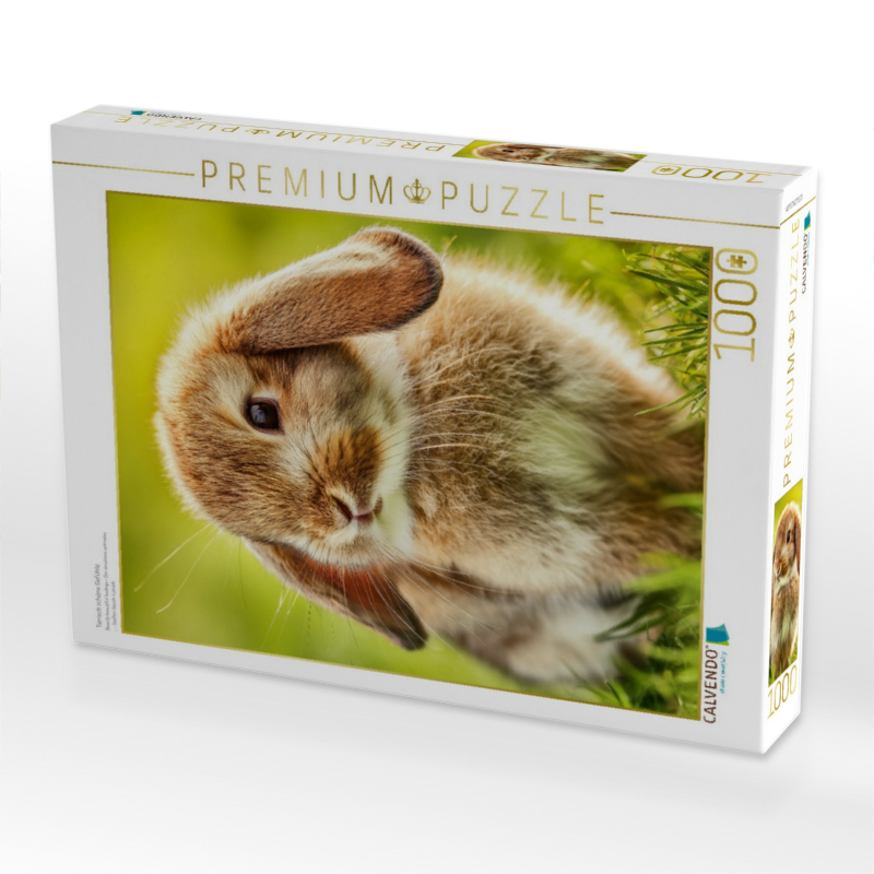 Tierisch schöne Gefühle