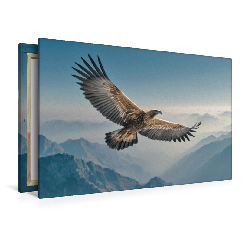 Ein Motiv aus dem Kalender Natürliche Harmonie