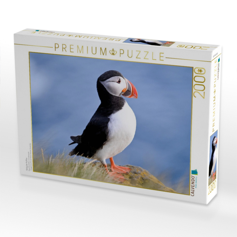 König der Puffins