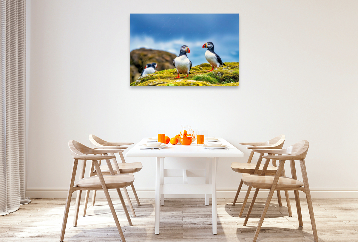 Zurück zur Natur – mit dem Vogel, der das Meer liebt.