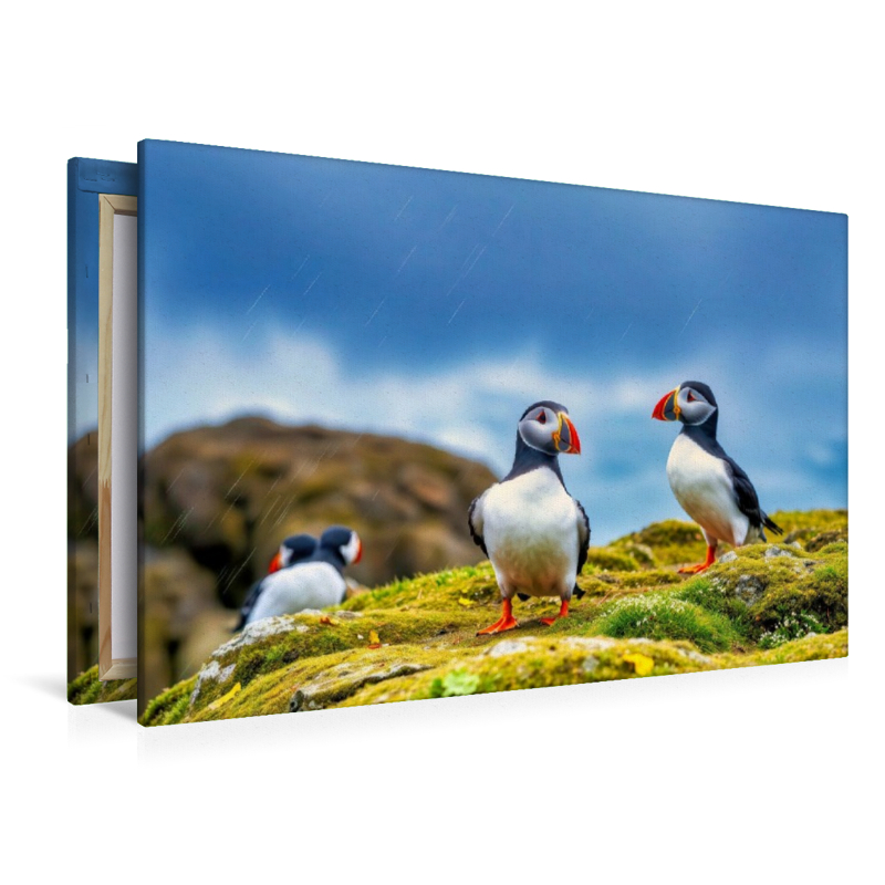 Zurück zur Natur – mit dem Vogel, der das Meer liebt.
