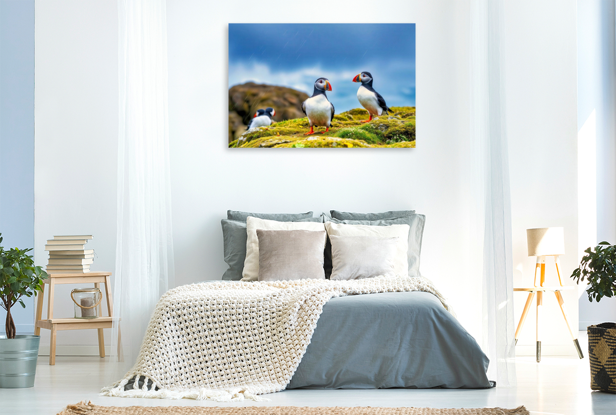 Zurück zur Natur – mit dem Vogel, der das Meer liebt.