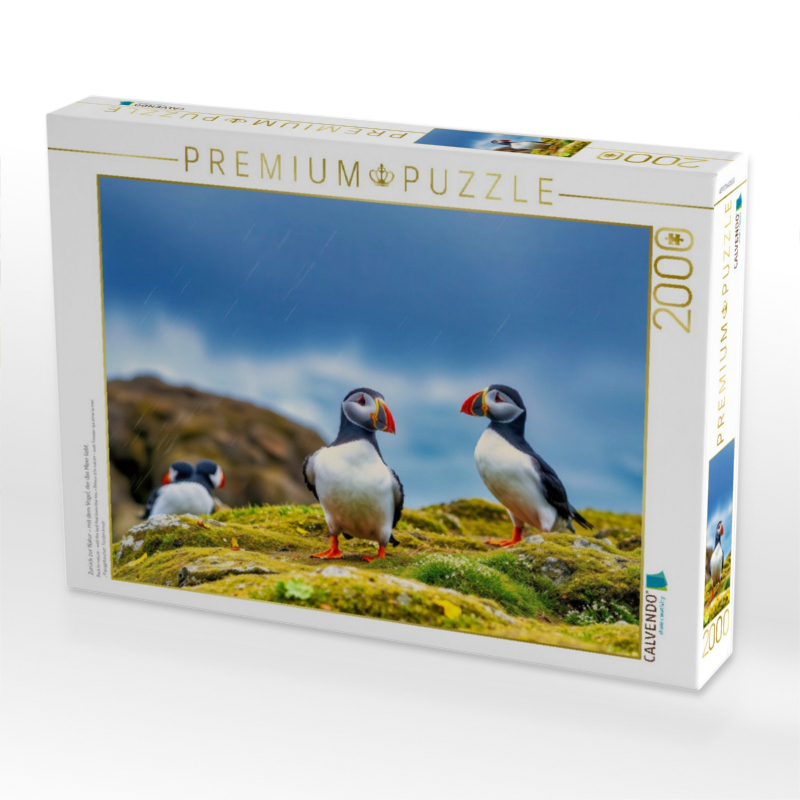 Zurück zur Natur – mit dem Vogel, der das Meer liebt.