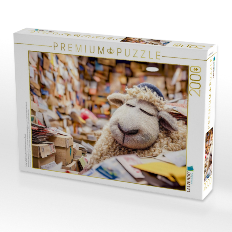 Schaf schläft friedlich im Paketzentrum Regal