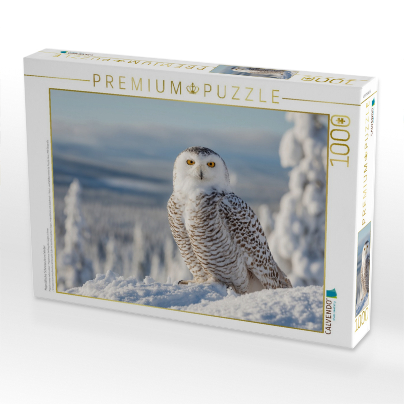 Majestätische Schneeeule im Winter