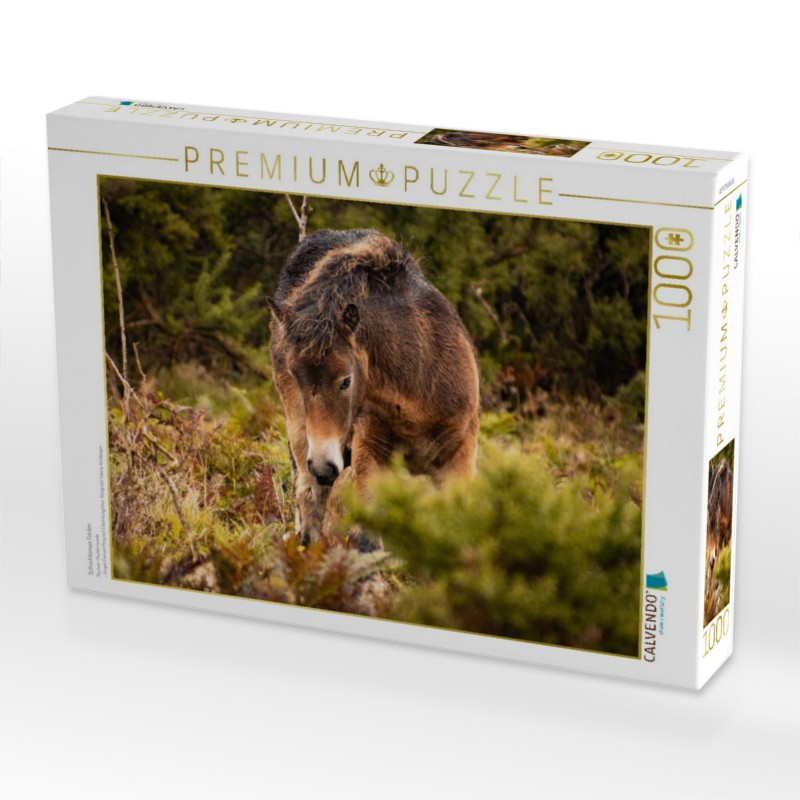 Schüchternes Fohlen