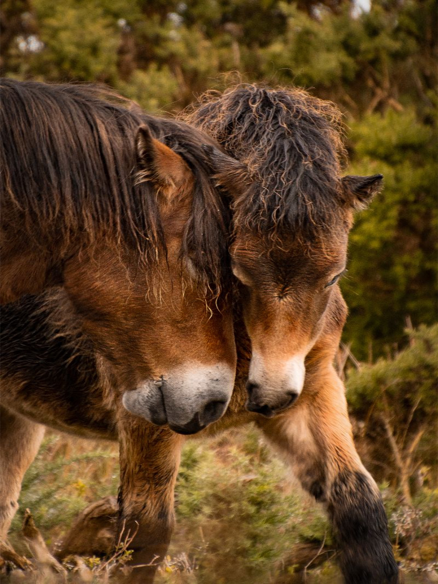 Mutter und Sohn