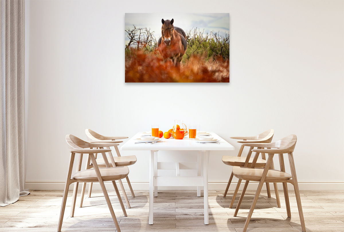 Exmoor Pony hinter leuchtendem Farn