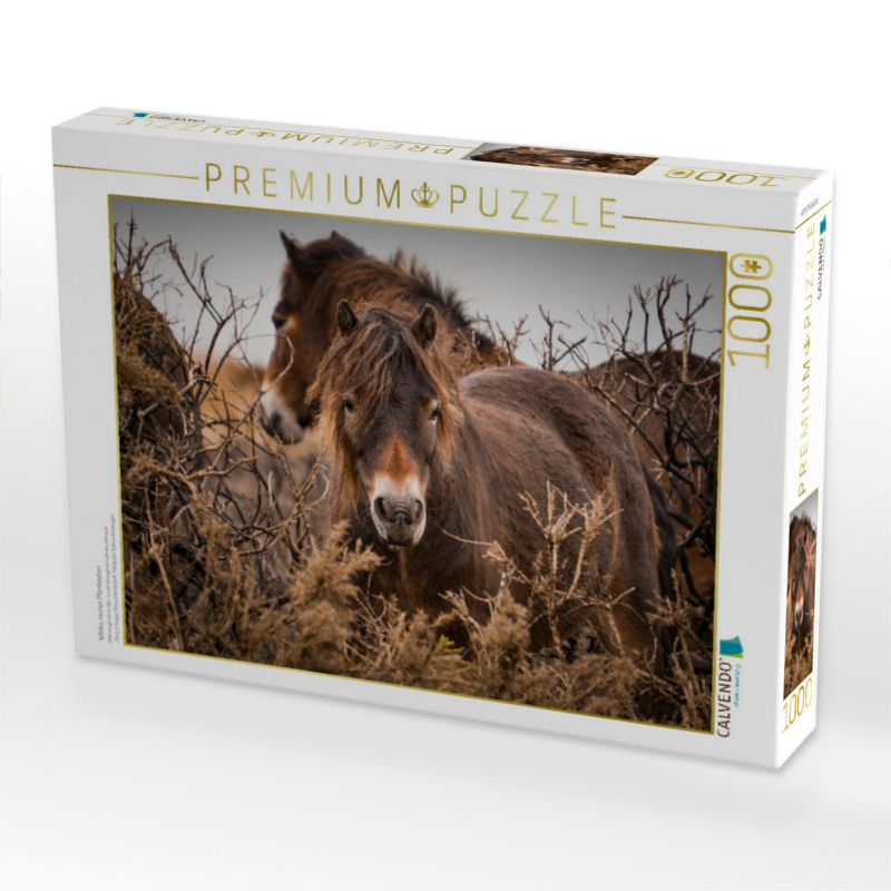 Wildes, rauhes Pferdeleben