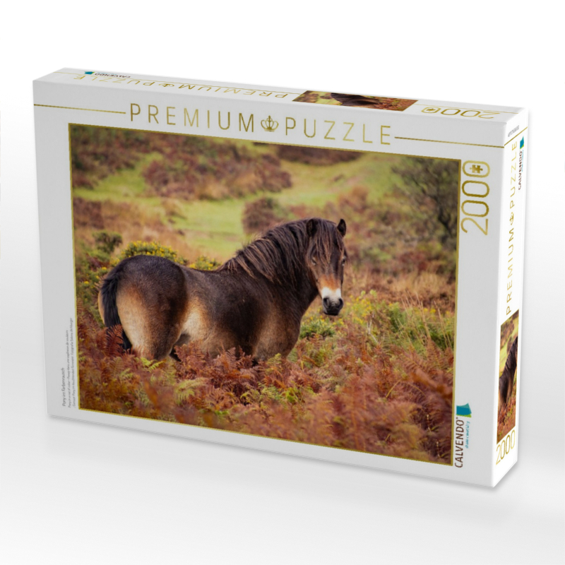 Pony im Farbenrausch