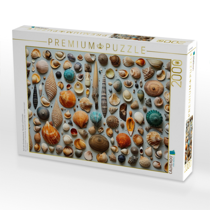 Nach dem Strandspaziergang - Muscheln und Schnecken