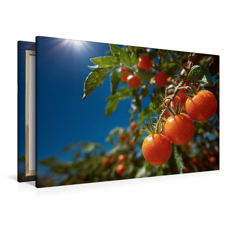 Reife Tomaten leuchten im Sonnenschein des Gartens