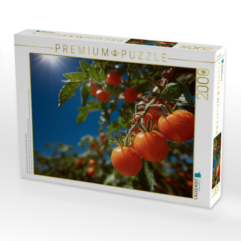 Reife Tomaten leuchten im Sonnenschein des Gartens
