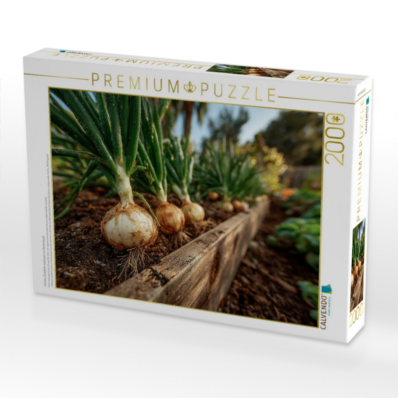 Frische Zwiebeln wachsen im Gartenbeet