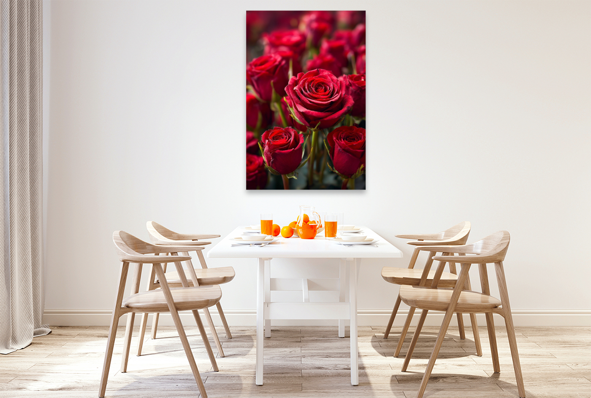 Rote Rosen in voller Blüte