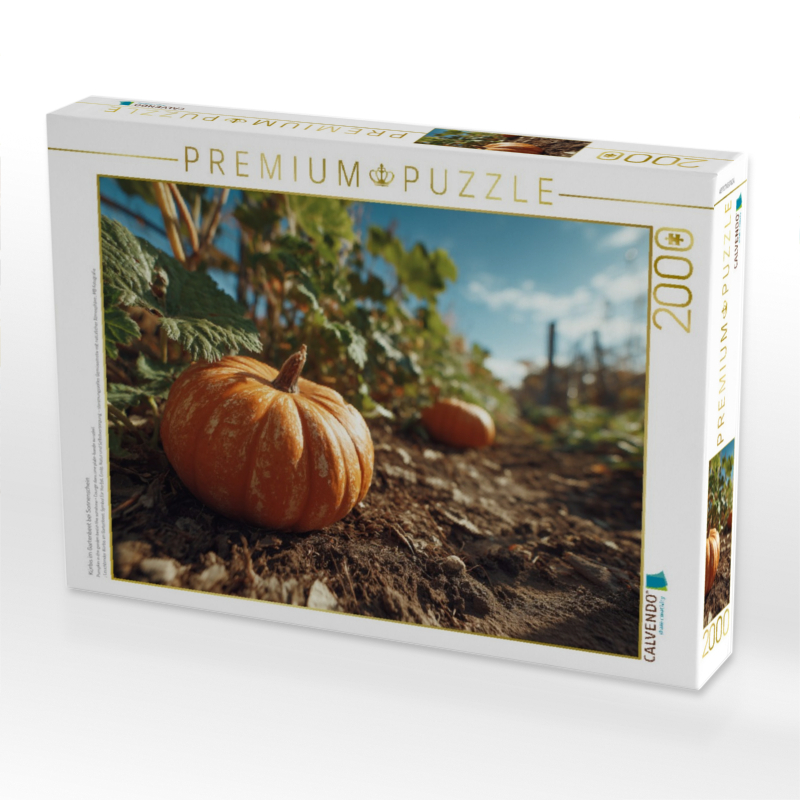 Kürbis im Gartenbeet bei Sonnenschein