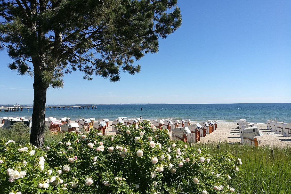 Blumenspiel am Strand