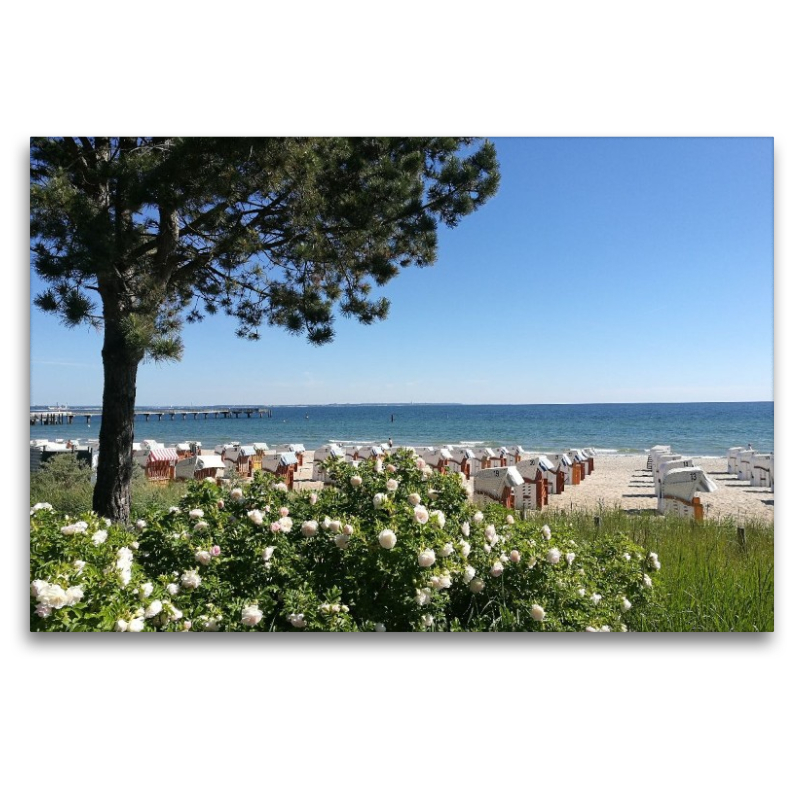 Blumenspiel am Strand