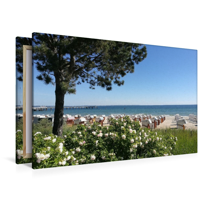 Blumenspiel am Strand