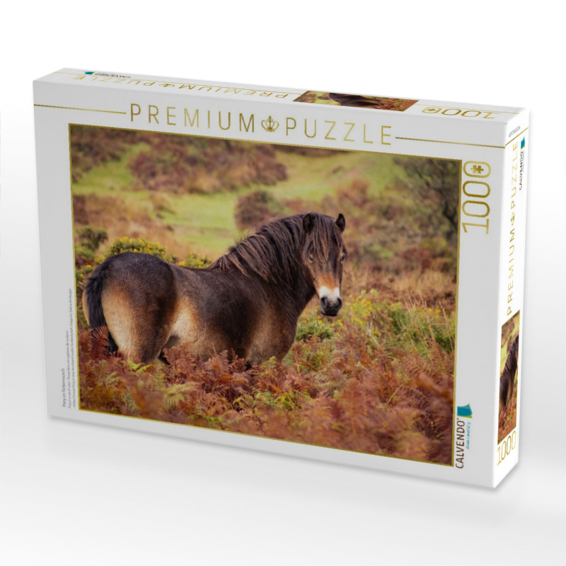 Pony im Farbenrausch