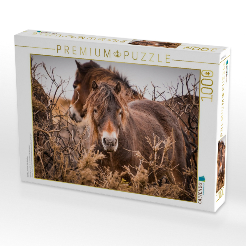 Wildes, rauhes Pferdeleben