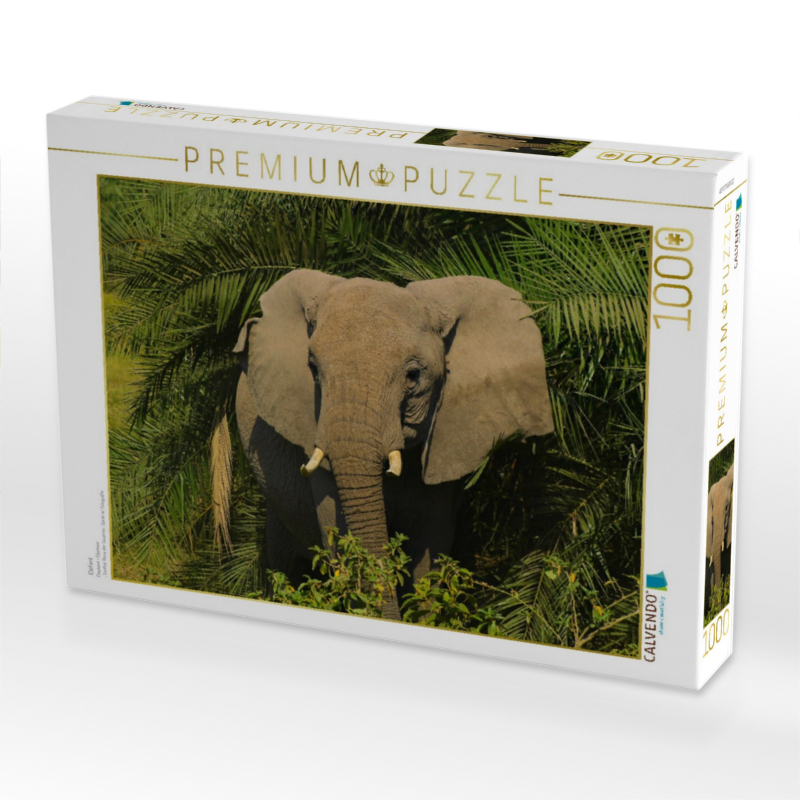 Elefant