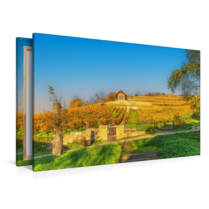 Weinanbaugebiet Saale-Unstrut bei Freyburg.