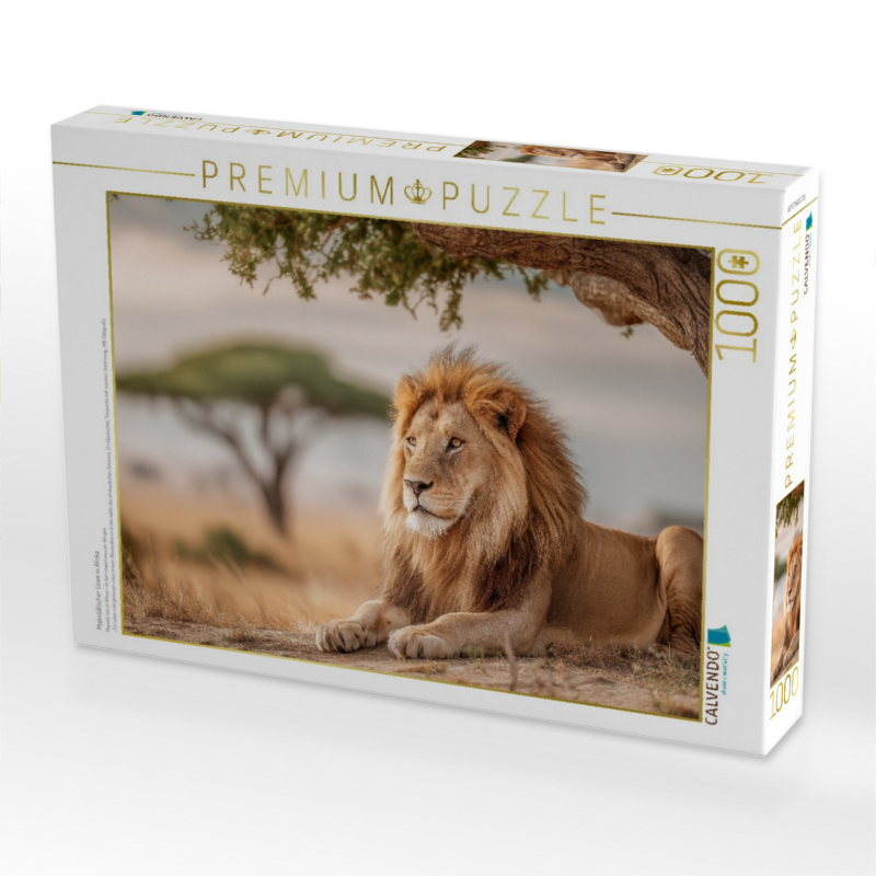 Majestätischer Löwe in Afrika