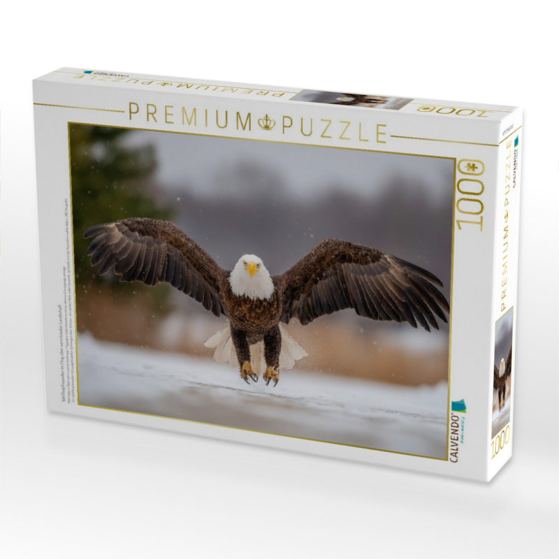 Weißkopfseeadler im Flug über verschneiter Landschaft
