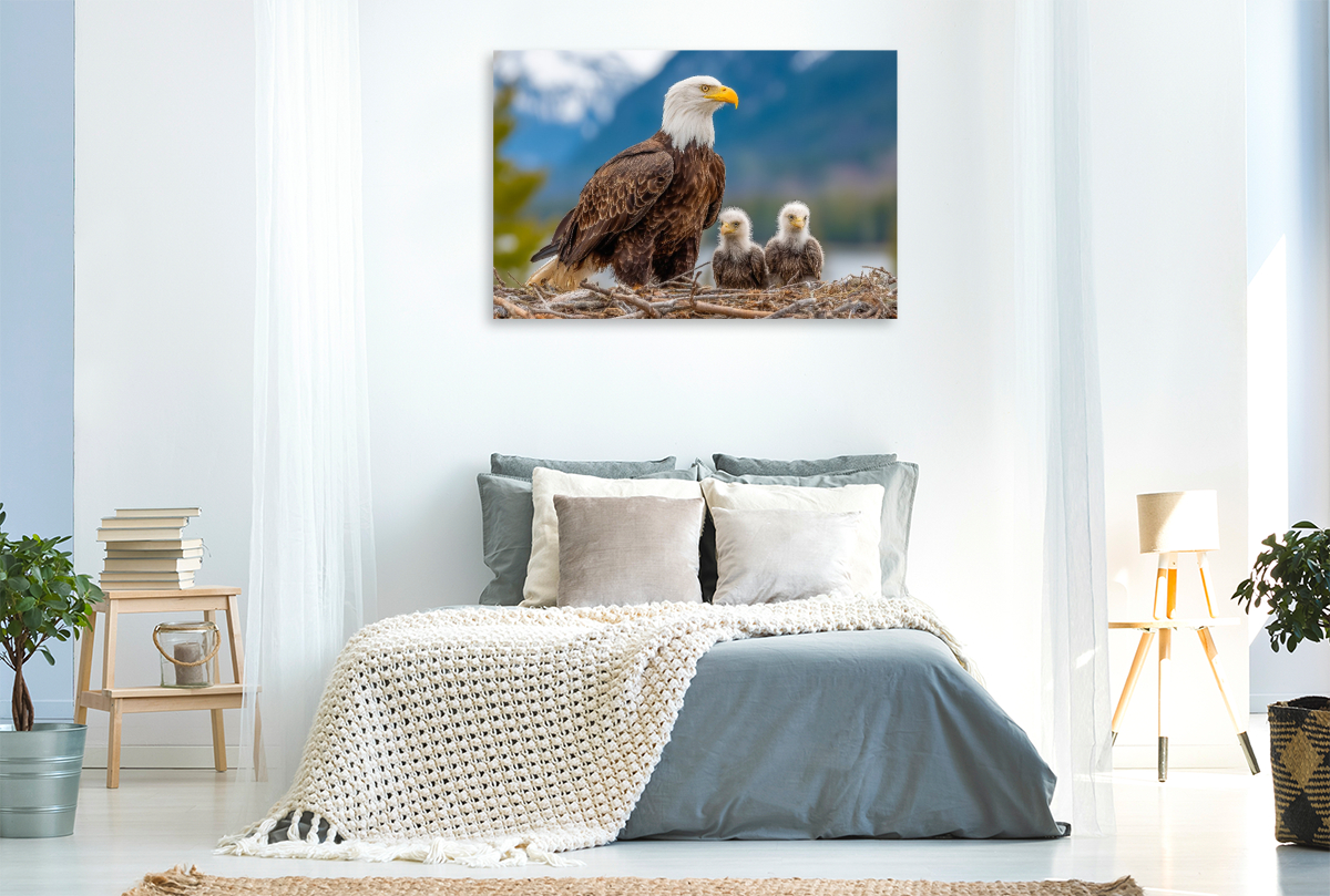 Weißkopfseeadler mit Jungvögeln im Nest vor Bergkulisse