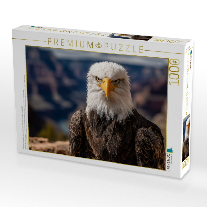 Weißkopfseeadler mit durchdringendem Blick in wilder Landschaft